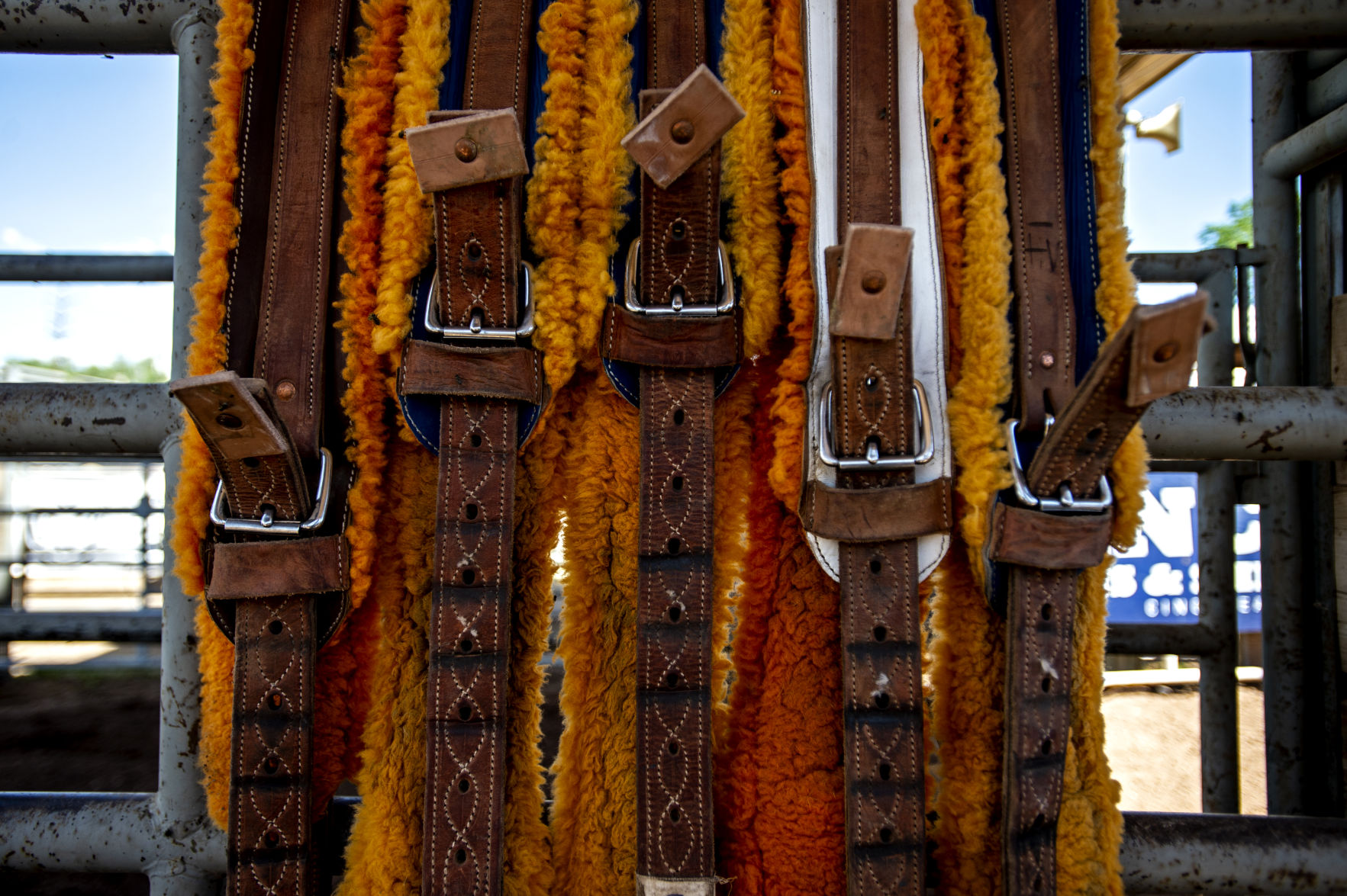 Sports Rodeo - Saturday 2.JPG